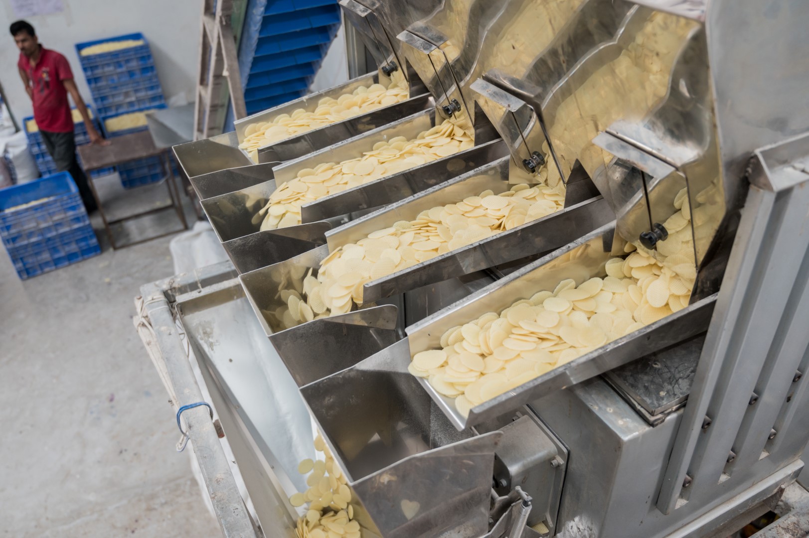 Skynik papad production